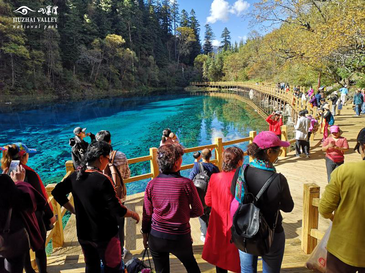 2020九寨沟深度游丨藏在深秋里的童话世界-九寨沟旅游攻略-游记-去哪儿攻略