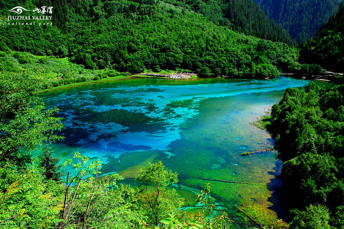 九寨沟县九寨沟景区五花海 - 中国国家地理最美观景拍摄点