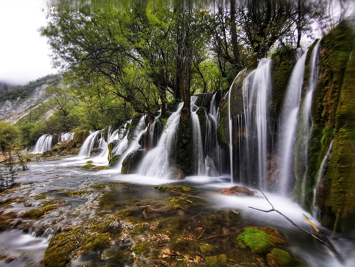 ゆんフリー写真素材集 : No. 15880 九寨溝 箭竹海瀑布 [中国 / 九寨溝]