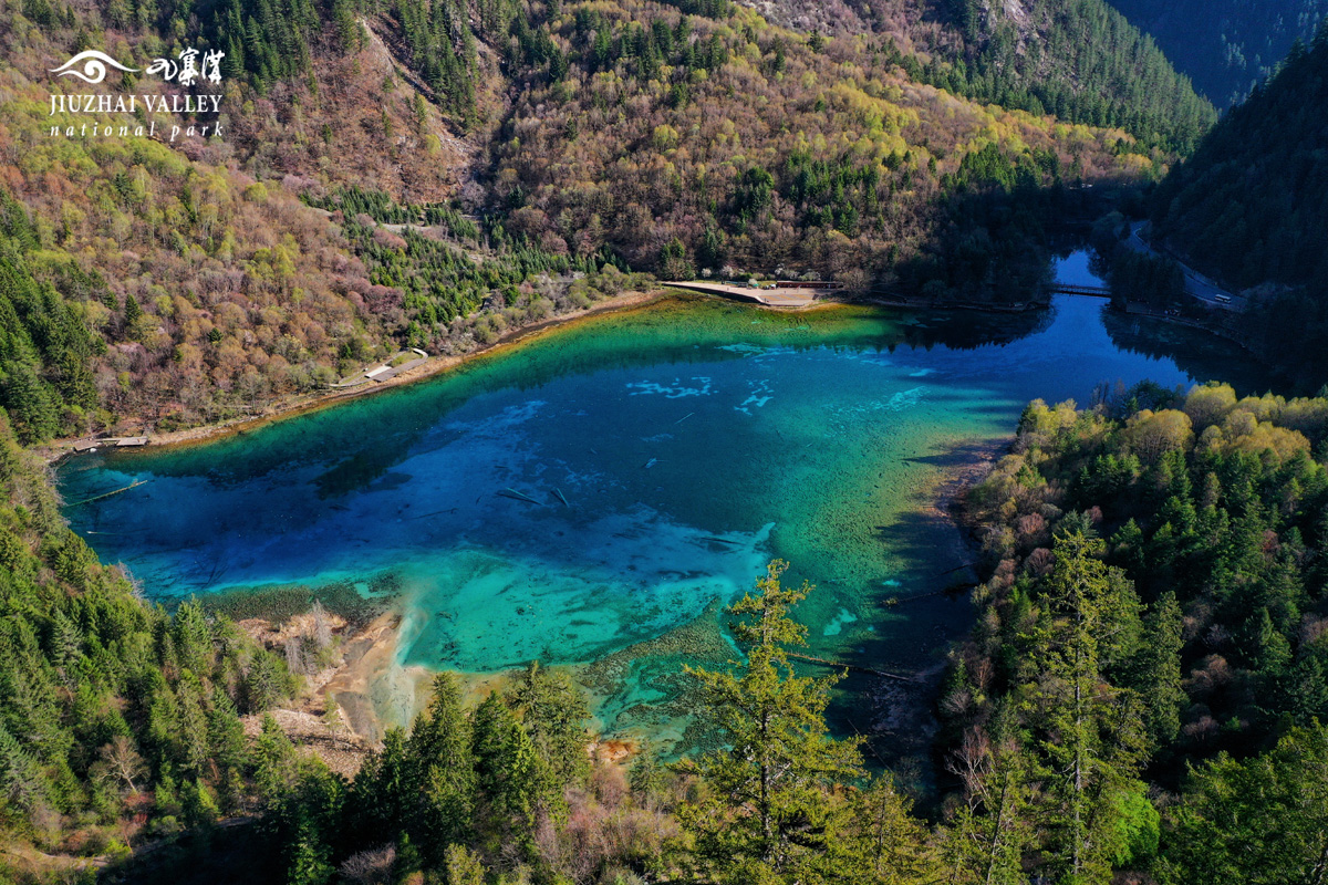 九寨沟景区官方网站 - 打卡净土阿坝 畅游神奇九寨 尽享清凉一夏