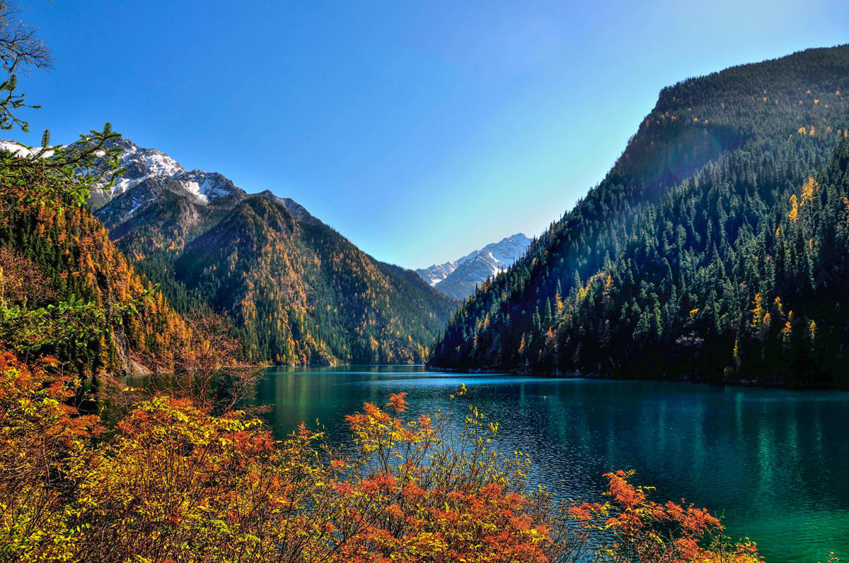 九寨沟景区官方网站 - 景区美景 | 九寨沟，一个现实中的童话世界因岁月的沉淀越来越美好