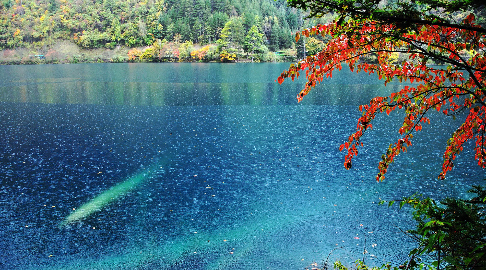 春深似海