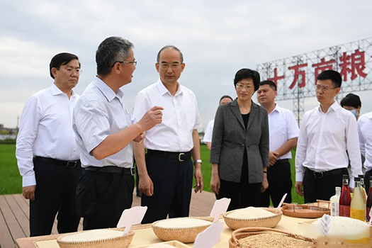 坚决贯彻习近平总书记来川视察重要指示精神